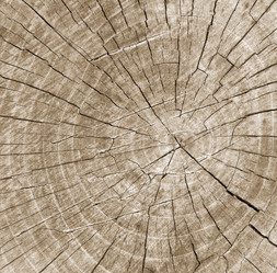 Similar image 5612629