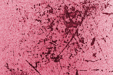 Similar image 5612637