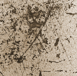 Similar image 5612640