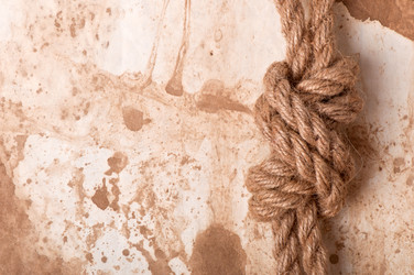 Similar image 5612647