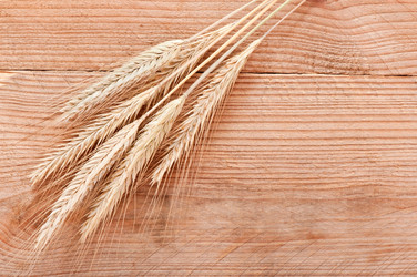 Similar image 5612655