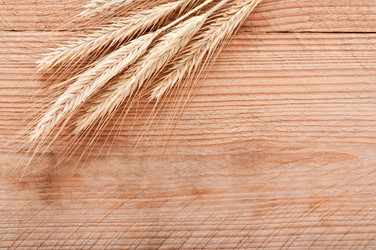 Similar image 5612657