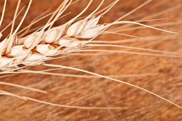 Similar image 5612681