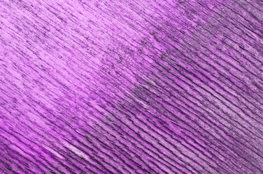 Similar image 5612686