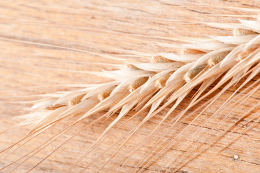 Similar image 5612690