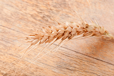 Similar image 5612698