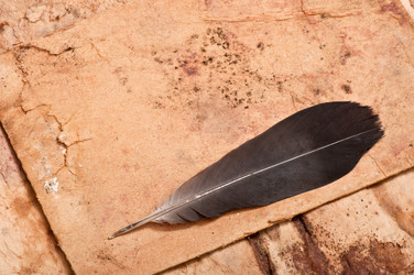 Similar image 5612712