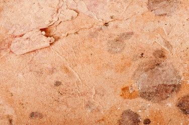 Similar image 5612714