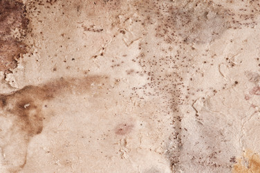 Similar image 5612717