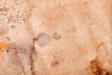 Similar image 5612718