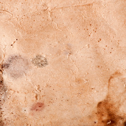 Similar image 5612729