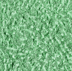 Similar image 5612764