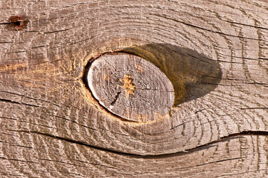 Similar image 5612774