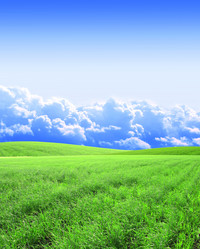 Similar image 5612781