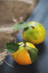 Similar image 5612851