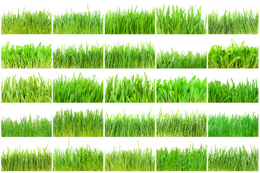 Similar image 5612899