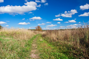 Similar image 5612937