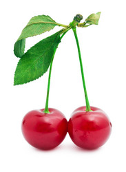 Similar image 5612974