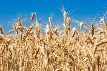 Similar image 5612982