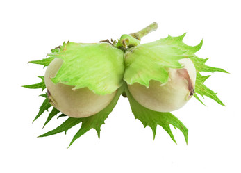 Similar image 5612984