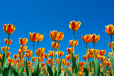 Similar image 5613001