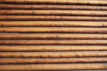 Similar image 5613002