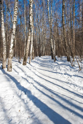 Similar image 5613036