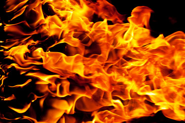 Similar image 5613039