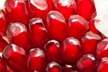 Similar image 5613042