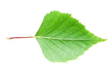 Similar image 5613043