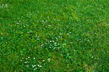 Similar image 5613303