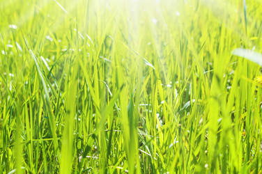 Similar image 5613304