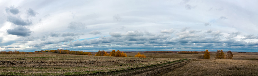 Similar image 5613321