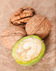 Similar image 5613624