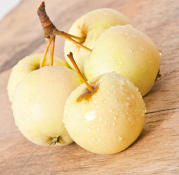 Similar image 5613629