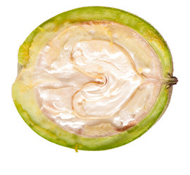 Similar image 5613631