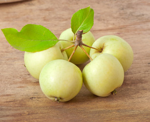 Similar image 5613639