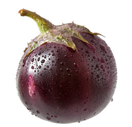 Similar image 5613650