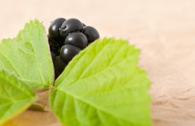 Similar image 5613654