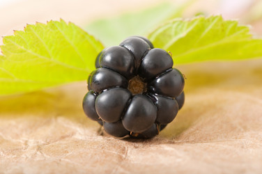 Similar image 5613655