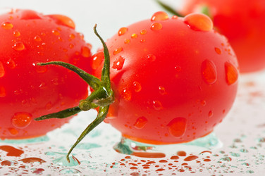 Similar image 5613669