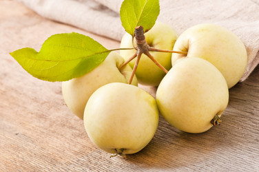 Similar image 5613675