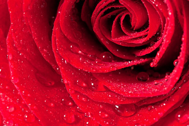 Similar image 5613676