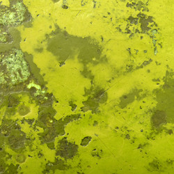 Similar image 5613703