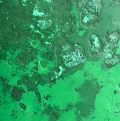 Similar image 5613705