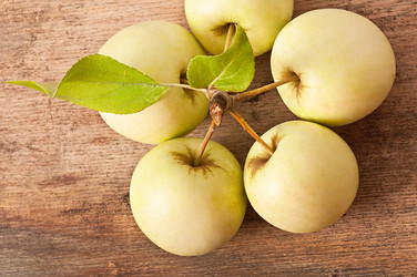 Similar image 5613707