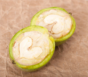 Similar image 5613711