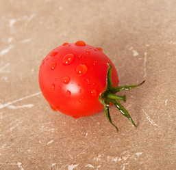 Similar image 5613713