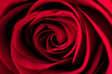 Similar image 5613716