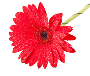 Similar image 5613742